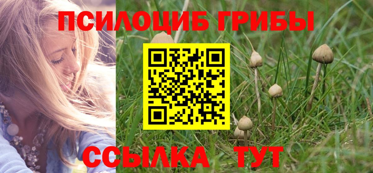 Галлюциногенные грибы Psilocybine cubensis Гуково