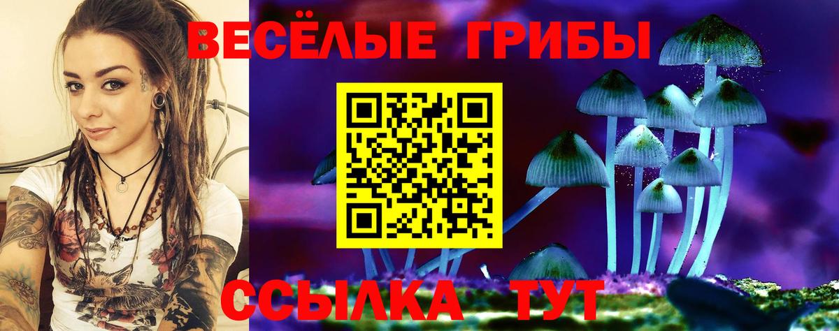 Псилоцибиновые грибы MAGIC MUSHROOMS  Галлюциногенные грибы Psilocybine cubensis  Гуково  Вход с VPN 